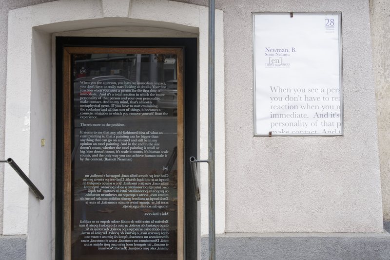 Installation view
