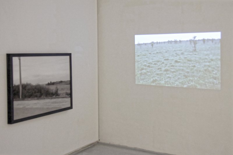 Photography  and Video Projection in the Gallery